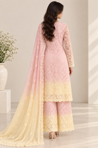 Blush Ivory Lace Anarkali Set